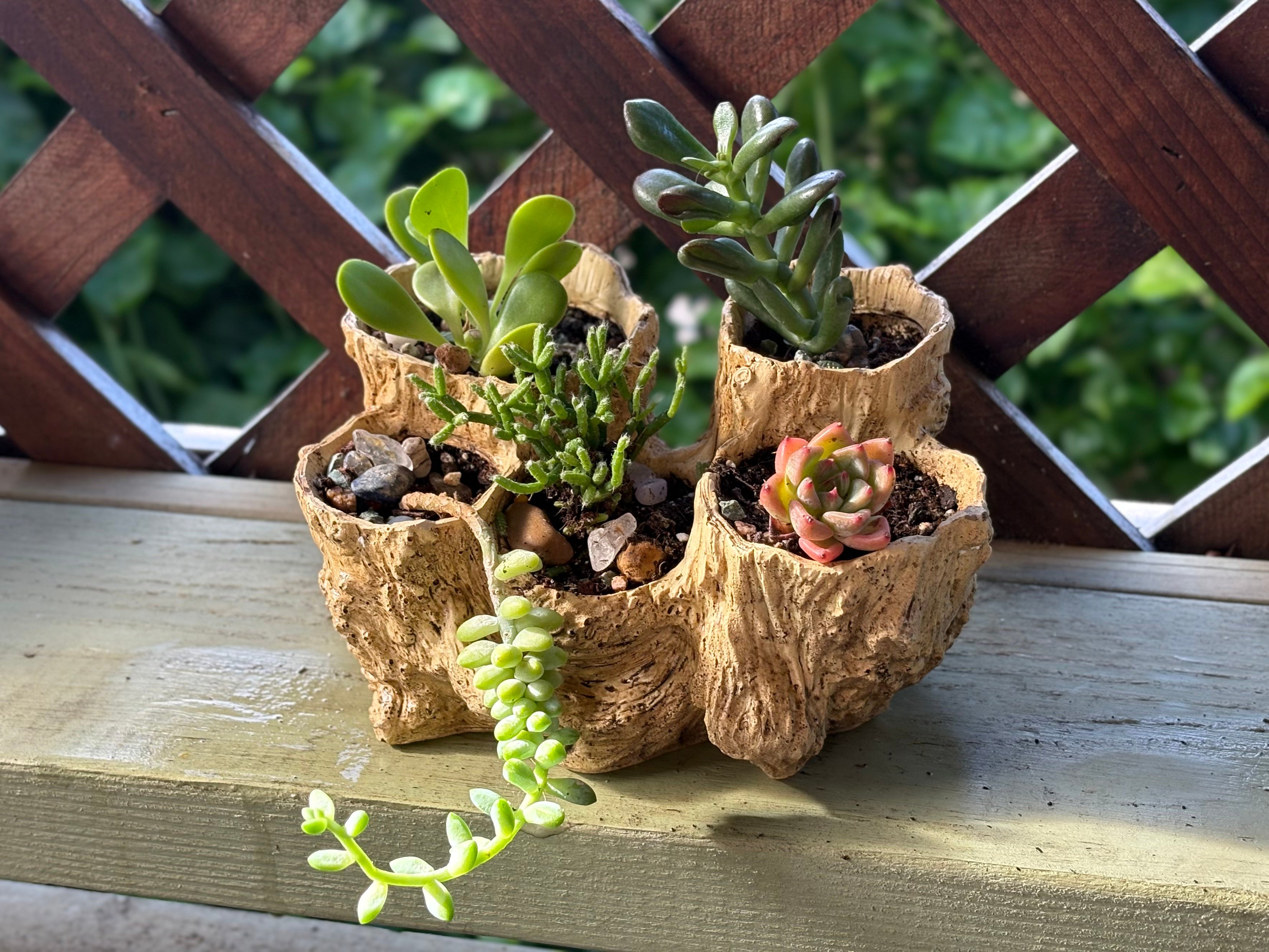 Driftwood Trio