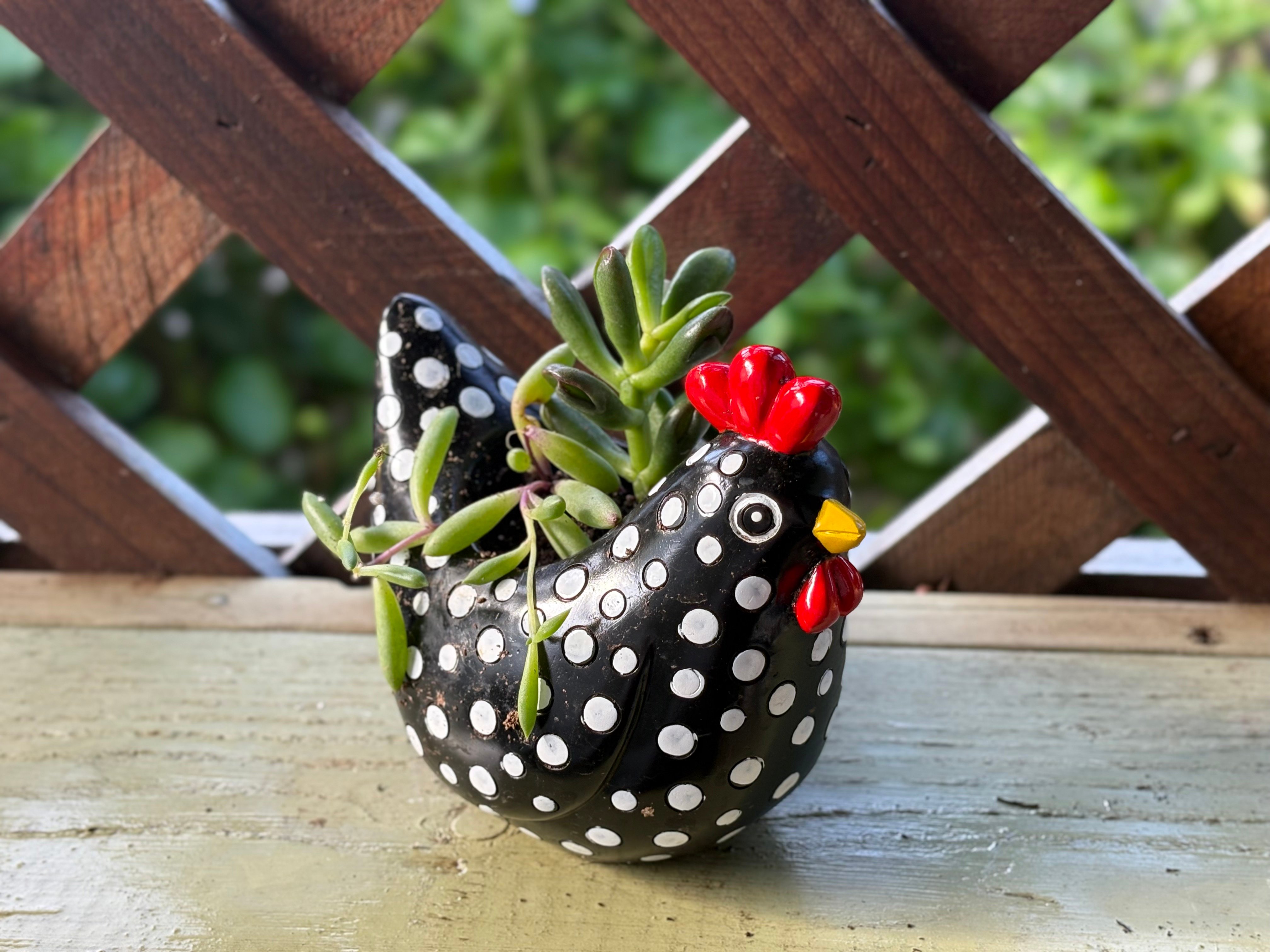 Polka-Dot Hen